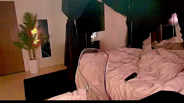 Aubreyessex online show from November 2025 04:44:02 PM