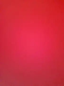 Priya Bong online show from November 2025 07:34:02 AM