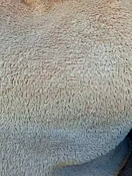 Priya Bong online show from January 2026 04:05:01 AM