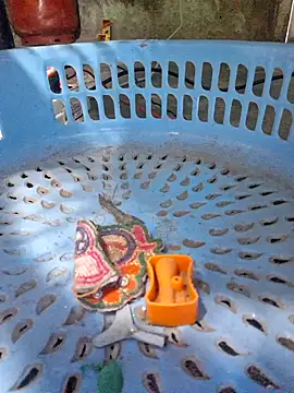 Priya Bong online show from December 2025 02:27:01 AM