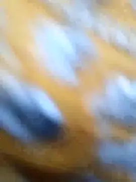 Priya Bong online show from May 2026 01:33:02 AM