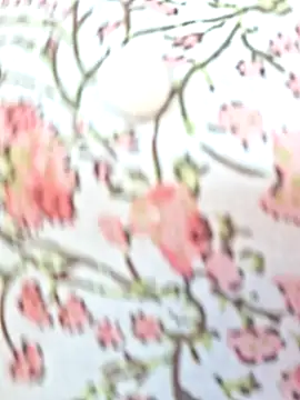 Priya Bong online show from February 2026 04:10:02 AM