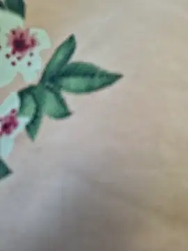 Priya Bong online show from March 2026 02:59:02 AM