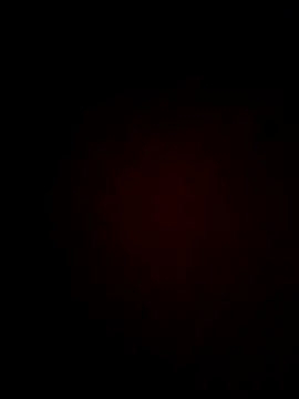 Priya Bong online show from June 2026 02:01:02 PM