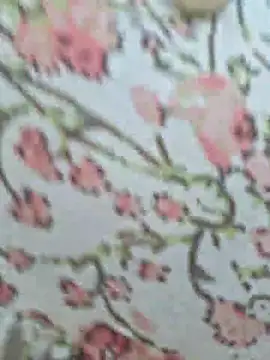 Priya Bong online show from July 2026 02:31:02 AM