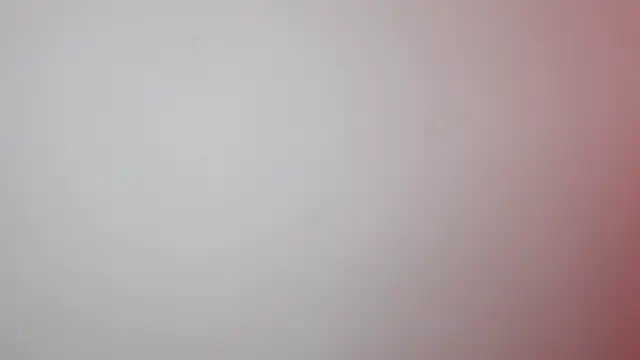 Kenner fox77 online show from March 2025 07:26:02 PM