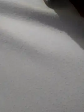  Miaaleon online show from November 2025 10:42:02 AM