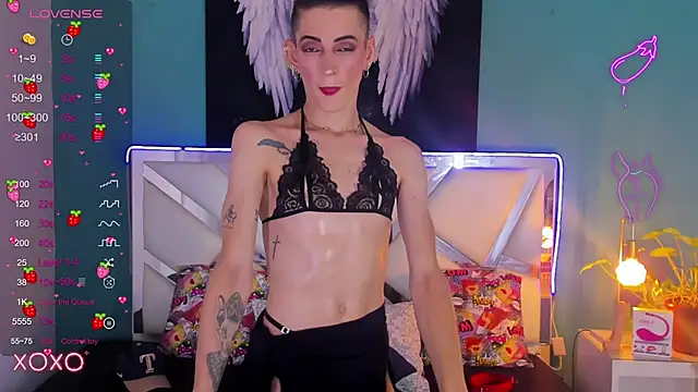 dominic thailor online show from March 2025 02:39:01 PM