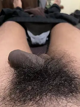 hairydude49 online show from February 2026 12:49:02 PM