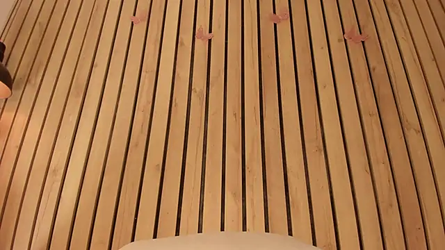 sofiesoft online show from November 2025 12:59:01 PM