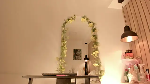 Snapshot of sofiesoft chatting on December 2025 02:11:01 PM sofiesoft online show from December 2025 02:11:01 PM