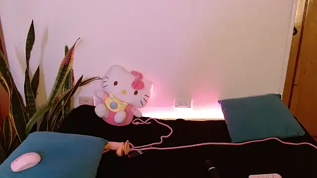 kittycatw online show from February 2026 09:21:01 AM