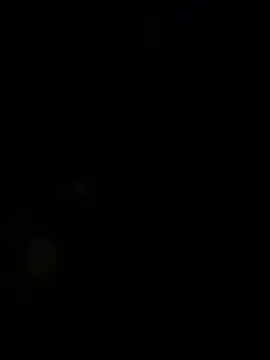 panchito3512 online show from December 2024 03:06:02 AM