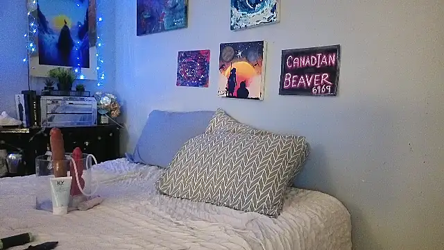 CanadianBeaver6969 online show from June 2026 07:41:01 AM