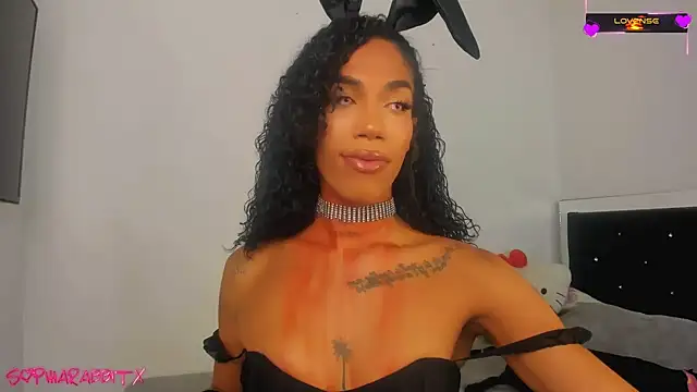 turabbitxx online show from October 2025 04:53:02 AM