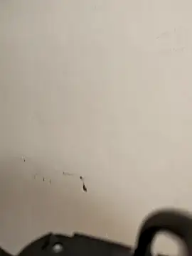 AvaLloyd online show from February 2026 06:26:01 AM