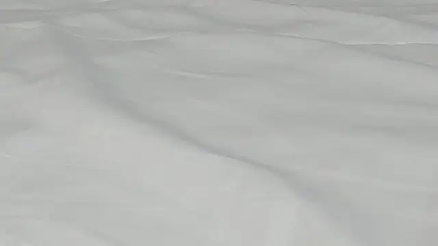 kamila twink sexy online show from March 2026 02:51:02 PM