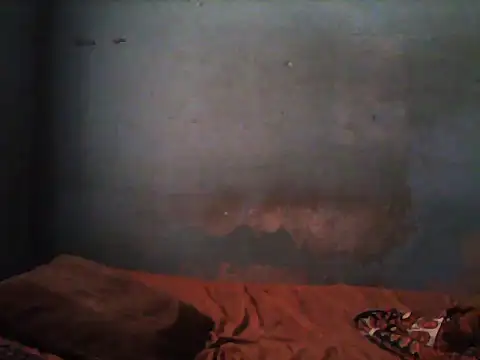 Snapshot of little__joy chatting on November 2025 01:47:02 PM little joy online show from November 2025 01:47:02 PM