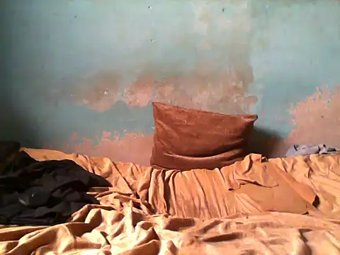 little  joy online show from February 2026 02:58:01 PM