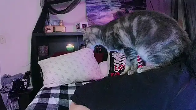 CrystalLakeXO online show from January 2026 08:07:02 AM