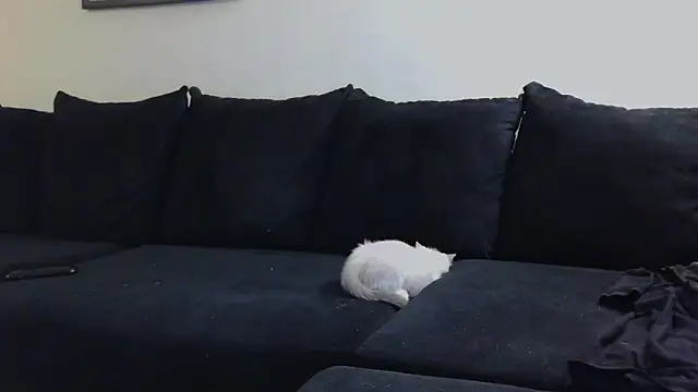 CrystalLakeXO online show from October 2025 04:55:02 AM