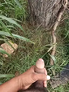 lovesuna online show from September 2025 08:46:02 AM