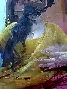 Anjel Sadia online show from February 2026 01:28:02 AM