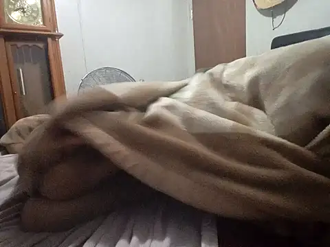 Xoc8  online show from February 2026 09:31:01 AM