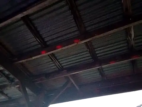 Xoc8  online show from December 2025 11:05:02 PM