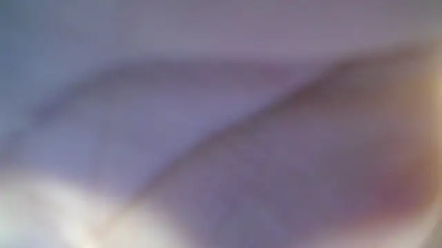 skeler lovd b  online show from March 2026 12:50:02 PM