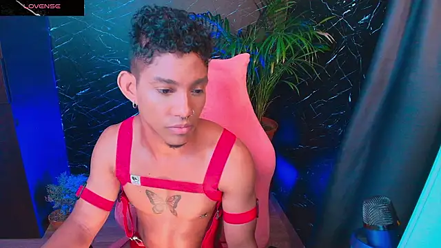 Palo santo online show from February 2026 05:51:01 AM