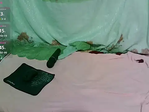 Snapshot of Stumpy_Governor chatting on April 2026 08:17:01 PM Stumpy Governor online show from April 2026 08:17:01 PM