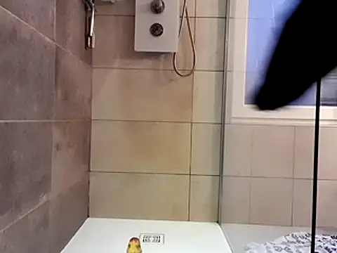 nfean2 online show from November 2025 03:57:02 PM