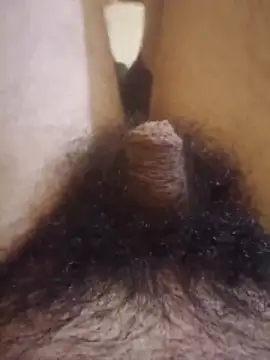 Dortmund69nn online show from February 2026 01:29:01 AM