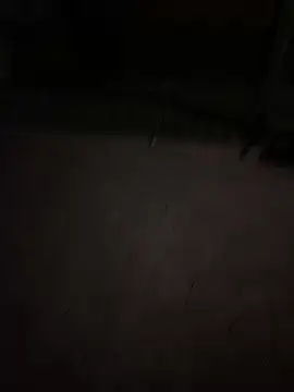 ToAnWTW online show from April 2026 11:23:02 PM