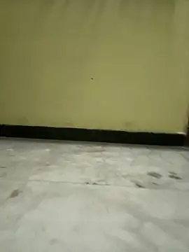 boypussyfist online show from February 2025 06:33:02 PM