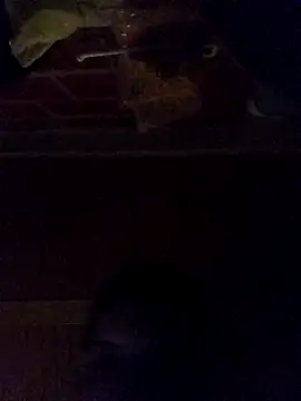 Snapshot of Elvergon3456 chatting on October 2025 04:57:02 AM Elvergon3456 online show from October 2025 04:57:02 AM