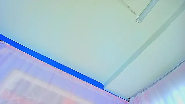 liccy hall online show from May 2026 11:49:02 AM