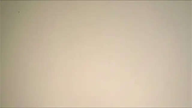 Elation Evy online show from March 2026 01:38:01 AM