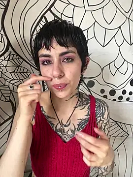  Artemisa X online show from April 2026 04:24:01 PM