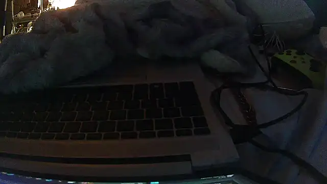 jaxx12369 online show from February 2026 07:35:02 PM