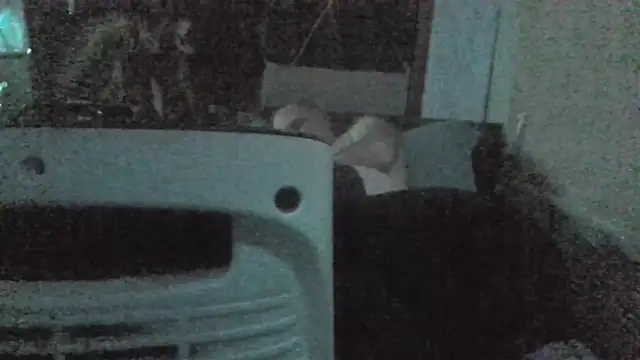 jaxx12369 online show from February 2026 07:04:01 PM