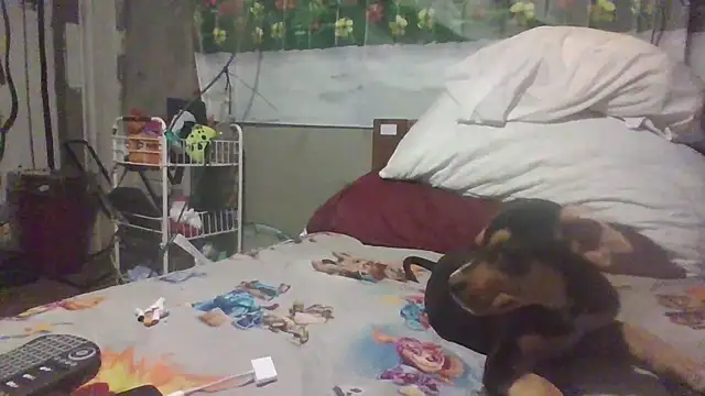 jaxx12369 online show from March 2026 05:41:01 AM