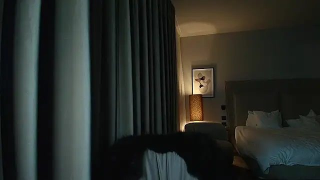 shayblonde online show from February 2026 08:09:01 PM