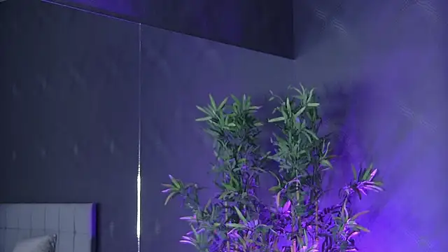 shayblonde online show from March 2025 01:08:01 PM