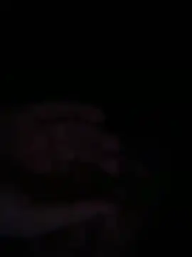 bob petterson online show from December 2025 06:12:02 AM