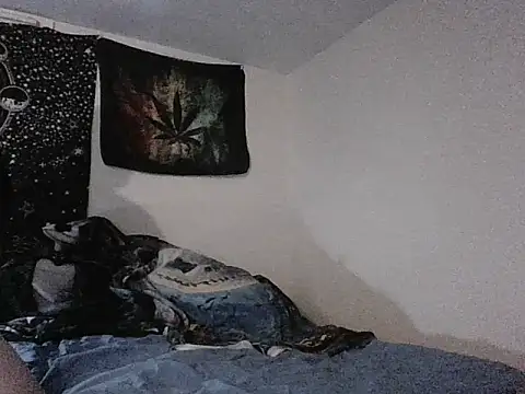 webetokinmo420 online show from November 2025 10:48:02 AM