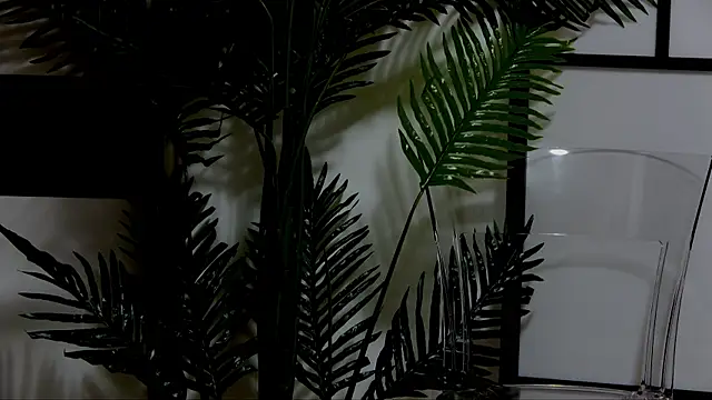 OnlyXandra online show from October 2025 04:50:02 PM