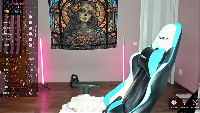 Project hisoka online show from November 2025 02:59:01 AM