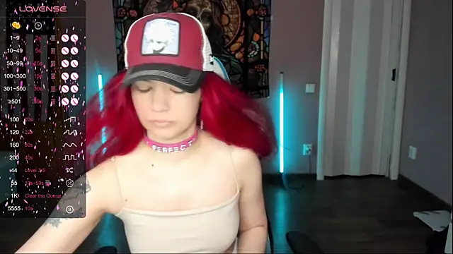 Project hisoka online show from December 2025 04:11:01 PM